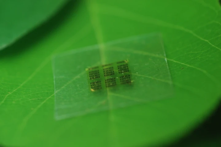 One of the CNF computer chips