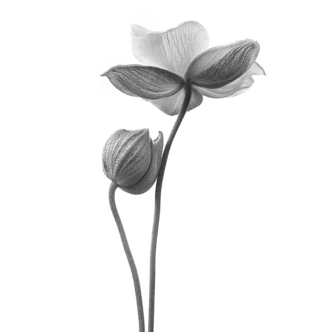 Highly Commended: A Little Touch