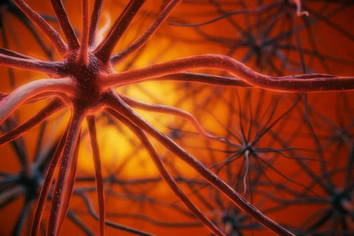 The research uncovered a novel combination of proteins that seem to protect the brain from the degenerative accumulation of toxic Alzheimer's plaques