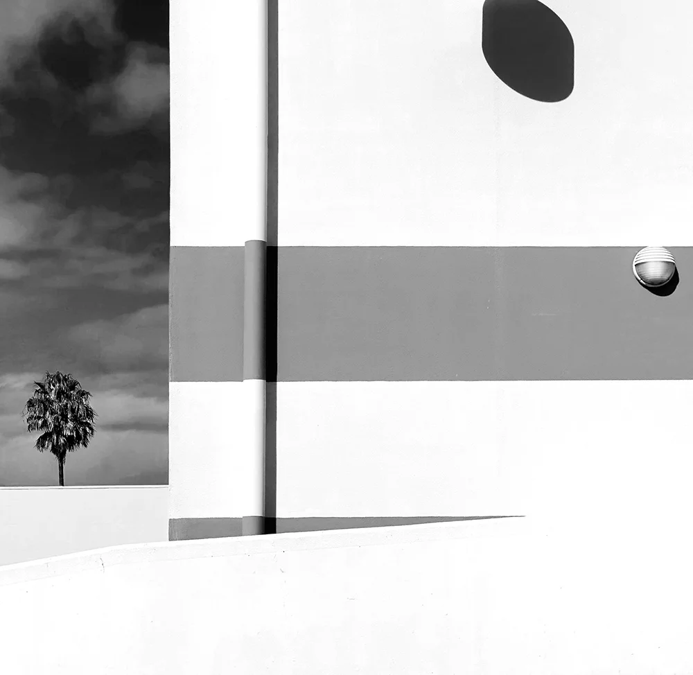 Honorable mention in the Black and White category. Vanilla Slice