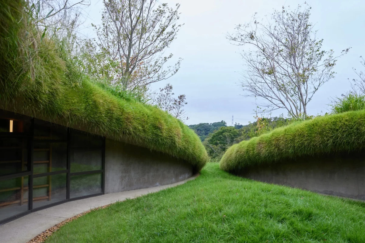 The Underground Library's sloping green roof helps the structure blend in with its natural surroundings