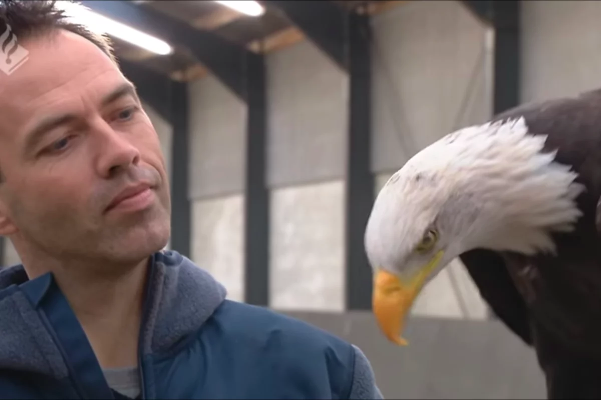 The pilot project is expected to run for a few months