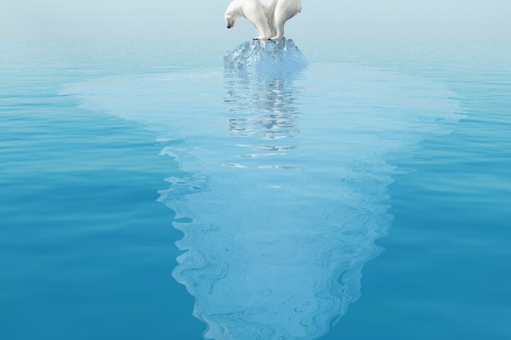 Should we consider bioengineering animals so they are better suited to surviving in the world we're creating?