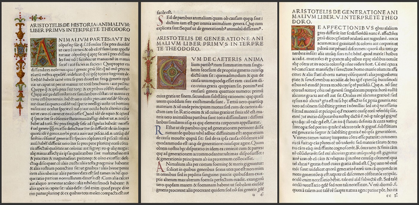Pages from the vellum copy of de Animalibus that will be auctioned on 8 June, 2016 by Bonhams