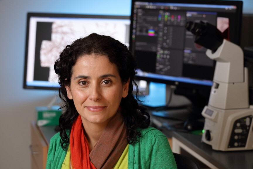 UVA researcher Eyleen Jorgelina O'Rourke and her team have discovered an enzyme that may improve health and extend life.