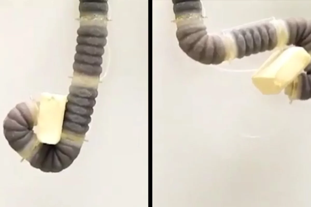With multiple jamming segments and four control cables, the robotic arm can flex and grip like an elephant's trunk