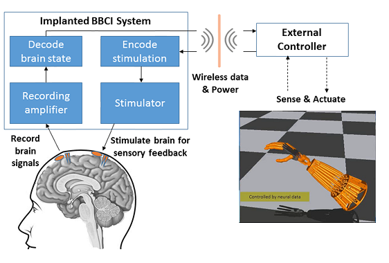Diagram of the University of Washington neuro-sensation system