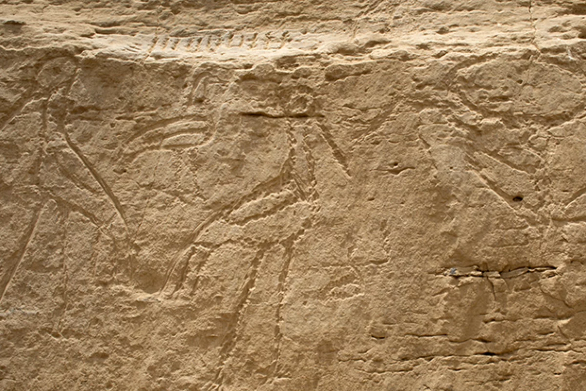 The newly-discovered rock inscriptions show, from right to left, a bull's head on a pole, two storks back to back and an ibis in between them