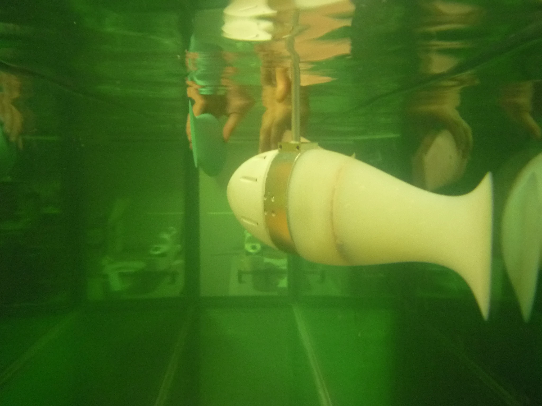 The FILOSE fish are modeled after rainbow trout