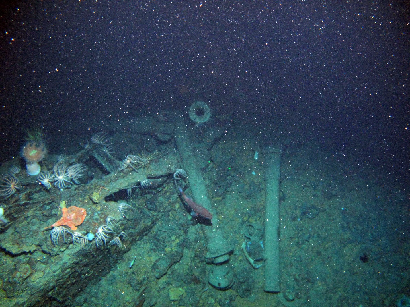 Battery ventilation trunks of HMAS AE1