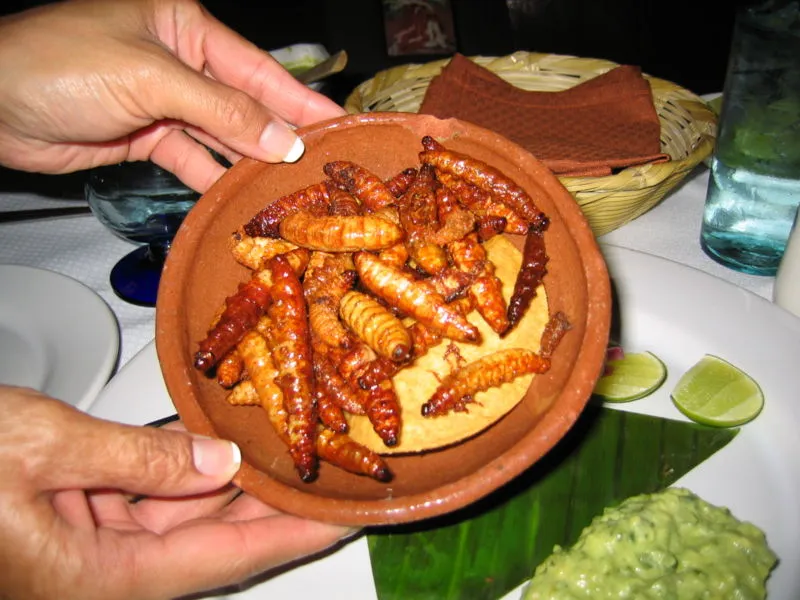 Purdue University's new app could keep unsuspecting travelers from ordering dishes such as gusano, without knowing what they are