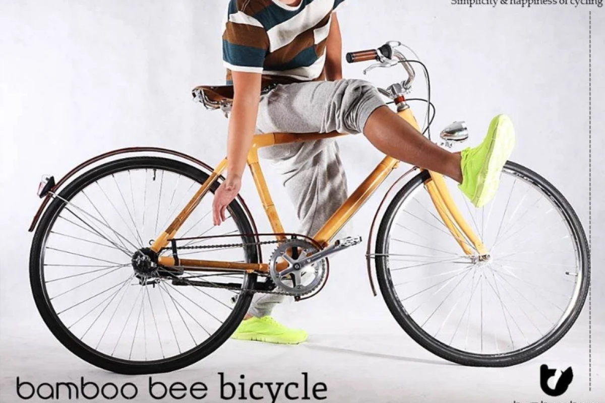 Bamboo bee hopes to make a mass-produced bamboo bike feasible