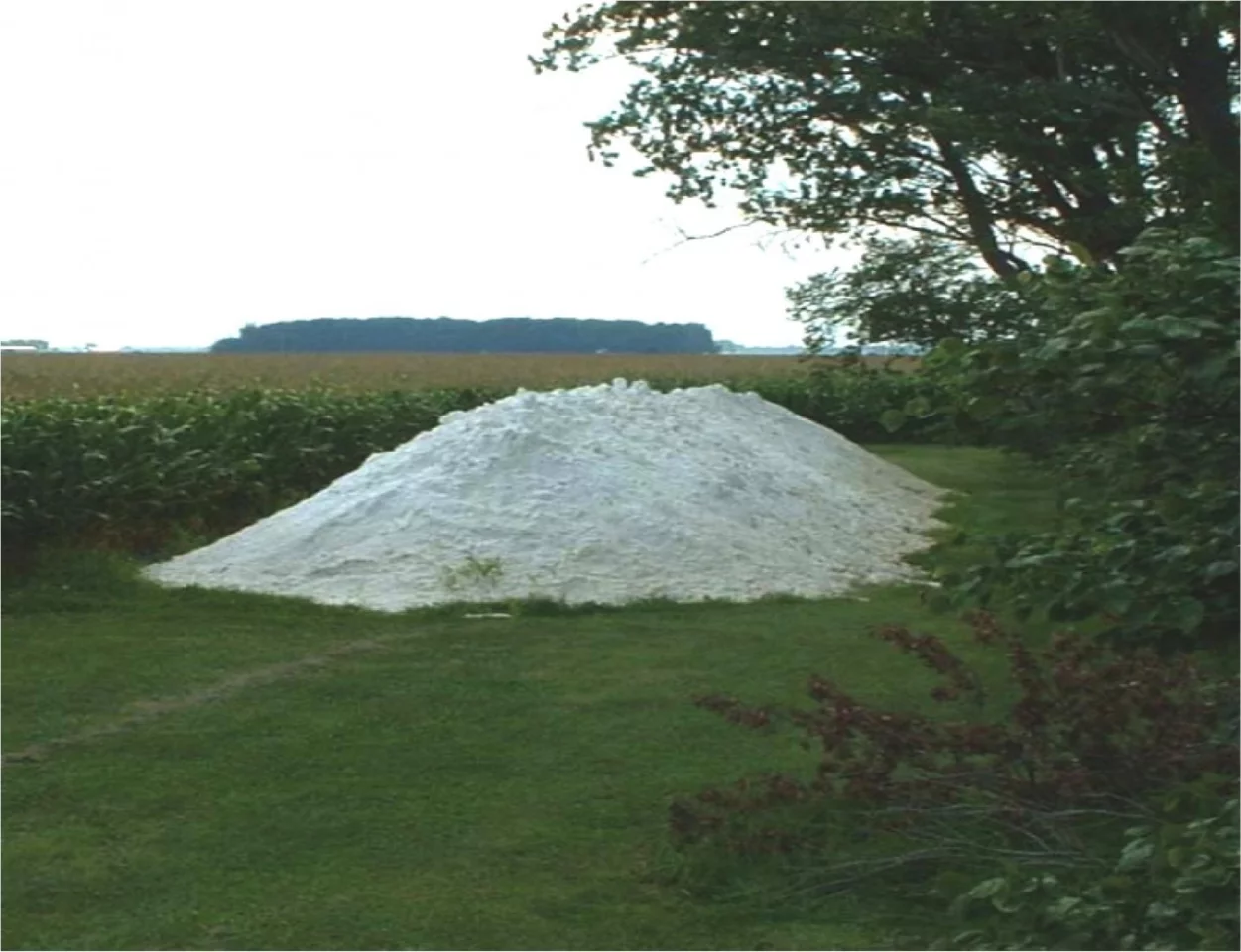 The gypsum could be applied to fields as a powder, or it could be dissolved in irrigation water