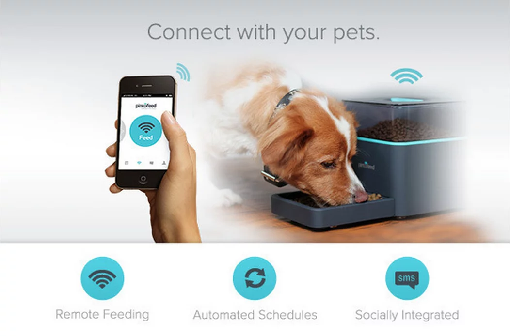 The Pintofeed pet feeder