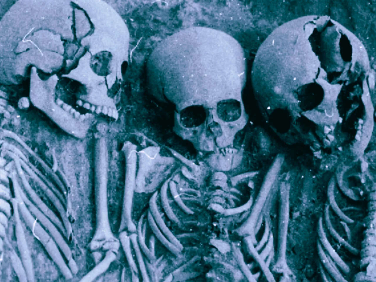Lake Baikal Skeletal Analysis Confirms Early Plague Strains Caused Mass Mortality
