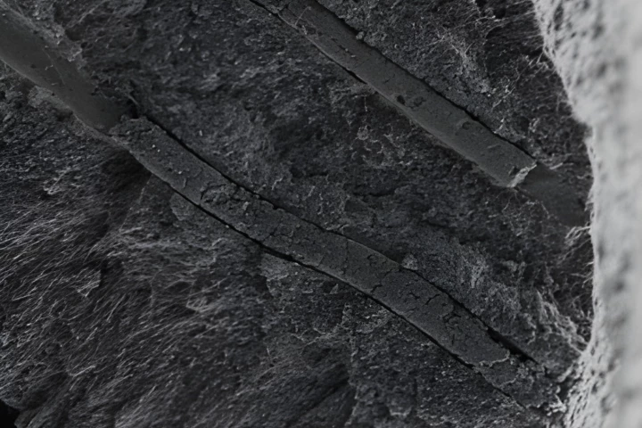 A microscope image of compromised dentin tubules that have been protectively plugged by the CalBots
