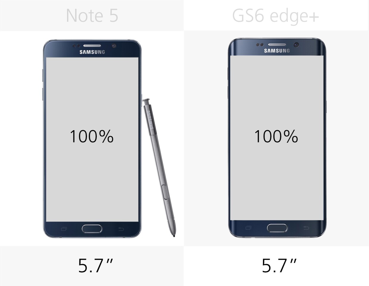 Display size
