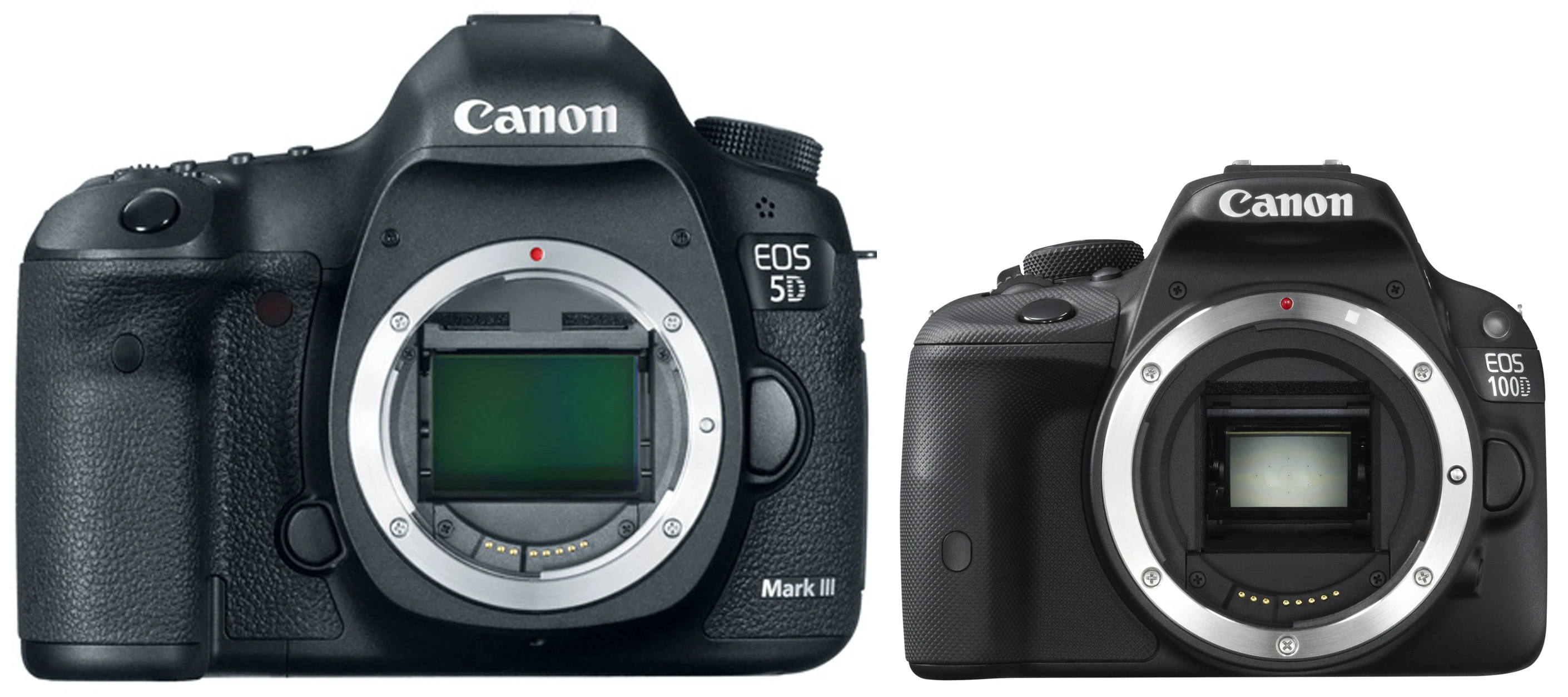 The tiny Canon EOS 100D compared with the EOS 5D Mark III