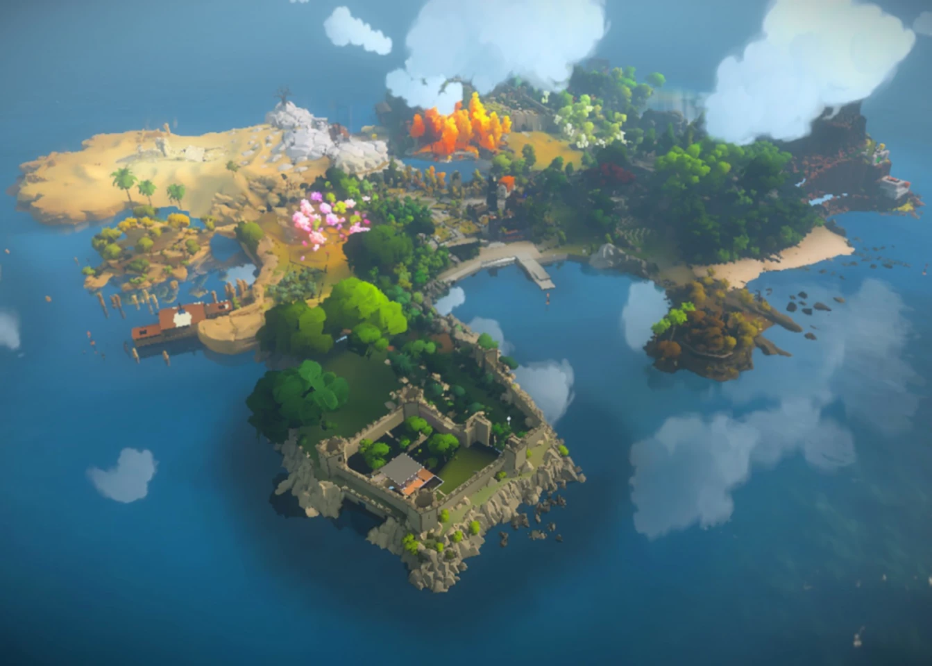 The Witness