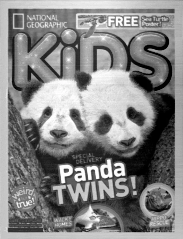 The magazine cover is so small that 2,000 can fit on a grain of salt