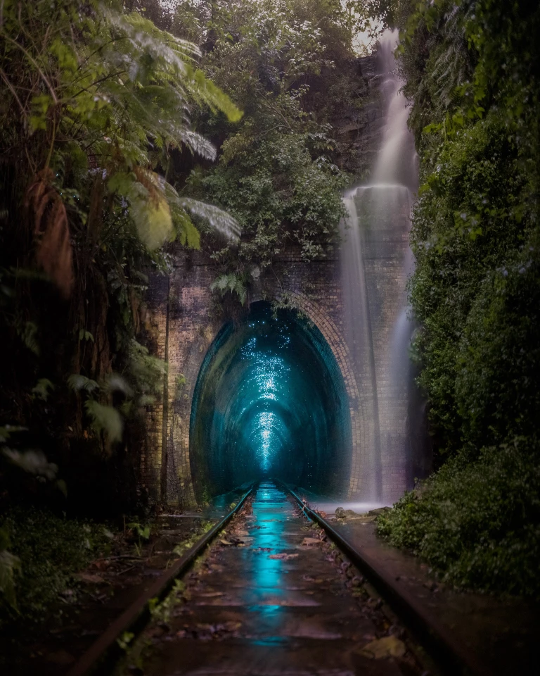 Urban Wildlife - Runner-up. "Glow Worm Metropolis". Helensburg, Australia