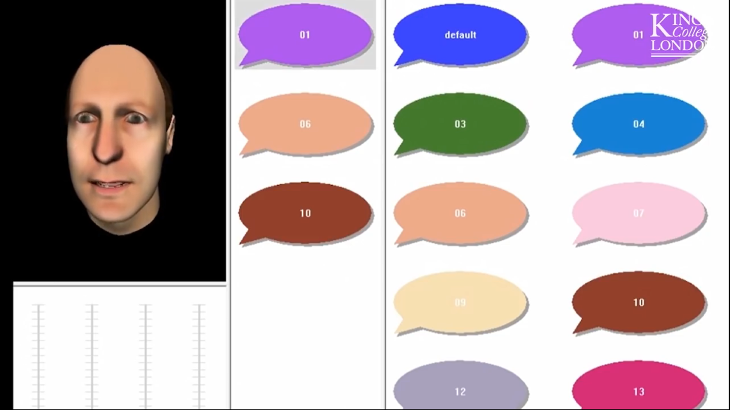 The patient constructs the avatar with the guidance of a therapist