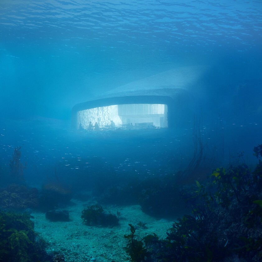 Muted lighting, installed both inside and out on the seabed highlights the marine life around the Under restaurant