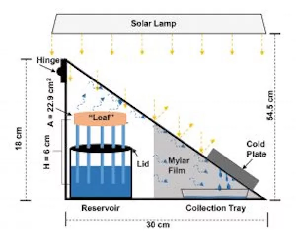 A diagram of the new synthetic tree, powered by transpiration