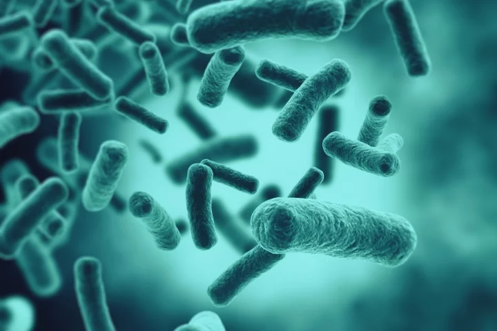 Bacteria, the factory workers of the future?