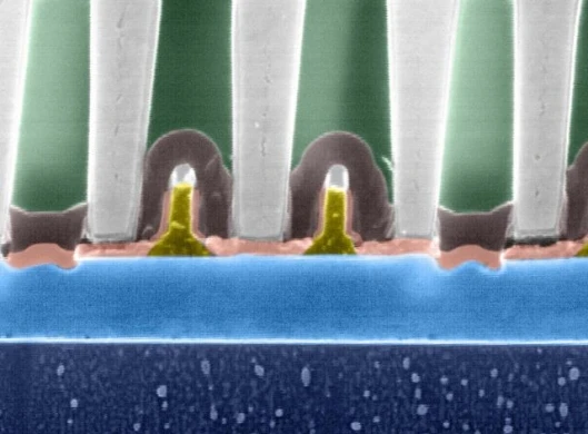 This cross section of a new IBM POWER6, 64-bit dual-core microprocessor was photographed using a scanning electron microscope and shows two transistors, shown as a gold color, out of the 790 million on this thumbnail sized chip. At 4.7 GHz, the dual-core