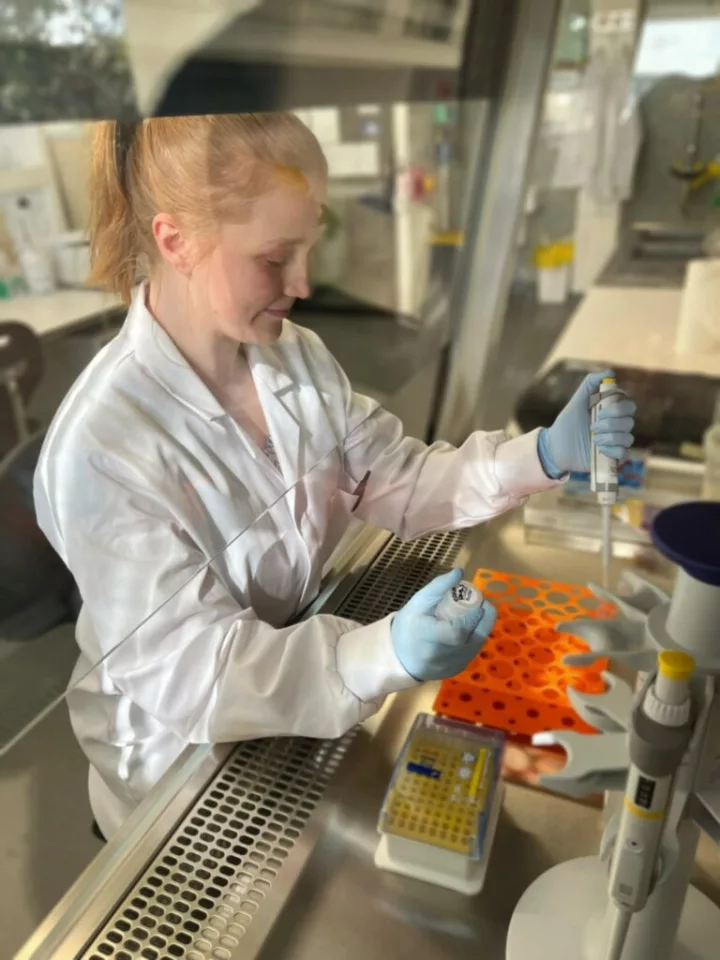 Dr. Belinda Martin sorting samples in her lab