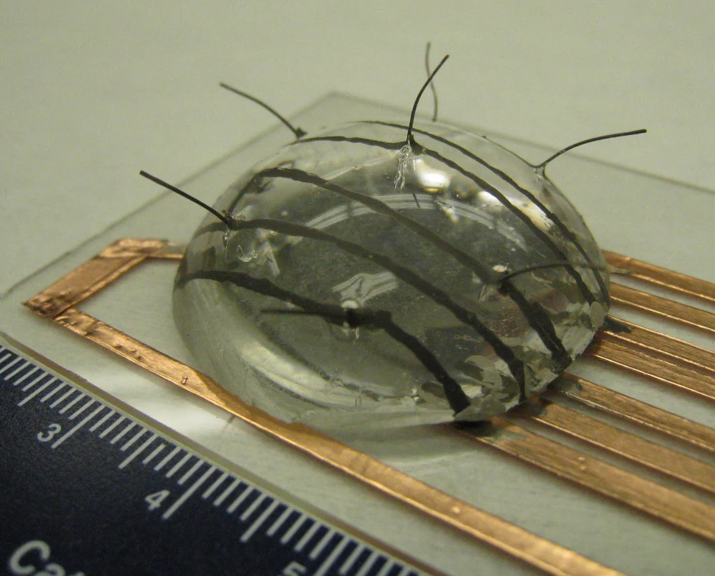 The e-whiskers could be used to help robots navigate their way around spaces