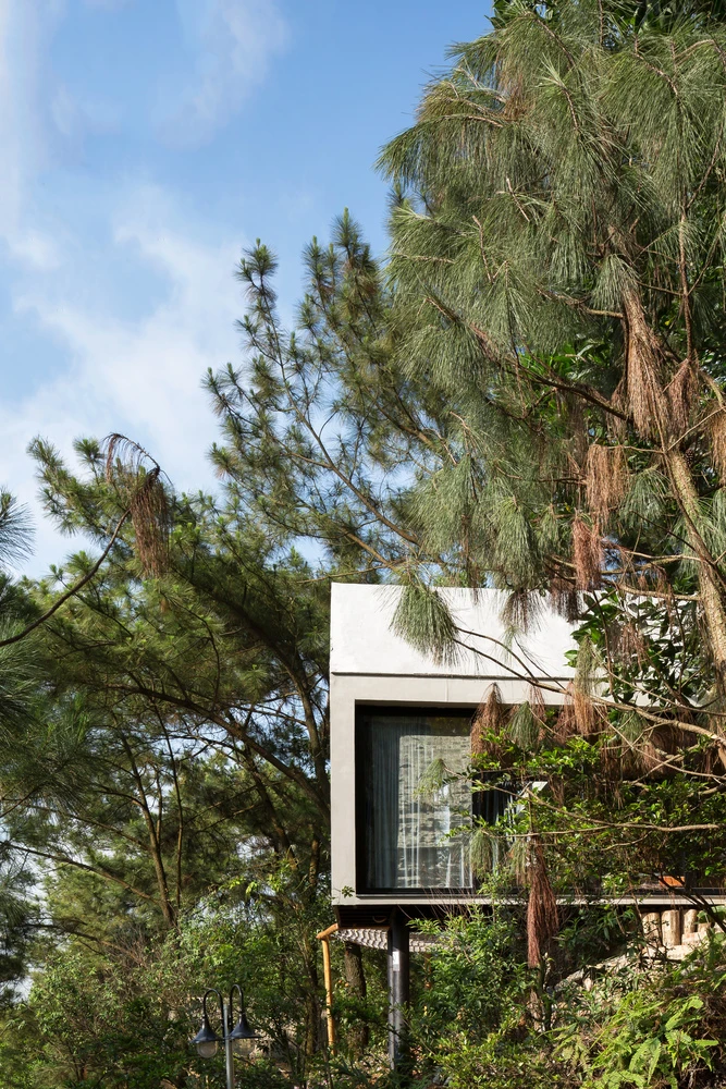 The Forest House 02 rests above the lush forest landscape