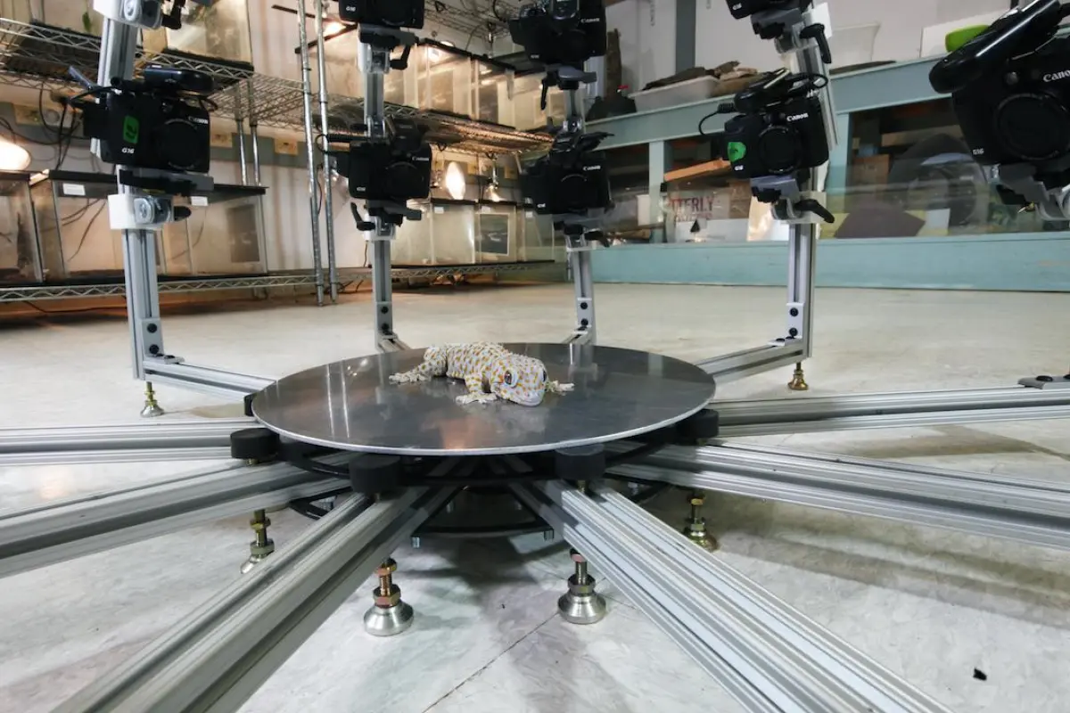 The Digital Life project is aiming to create 3D models of every single species of animal on Earth