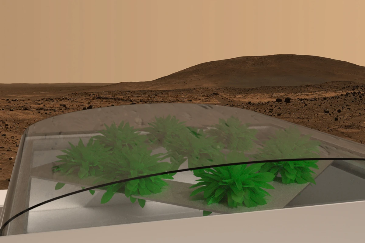 The Southampton #LettuceOnMars experiment