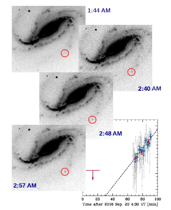 Negative images of the galaxy NGC 613, where the brightening object can be clearly seen in the bottom-right corner