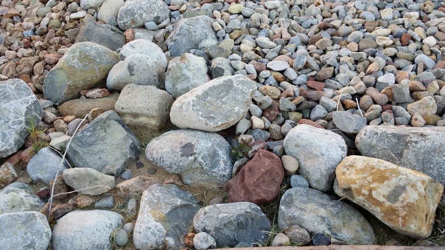 Outdoor shot taken in indirect daylight