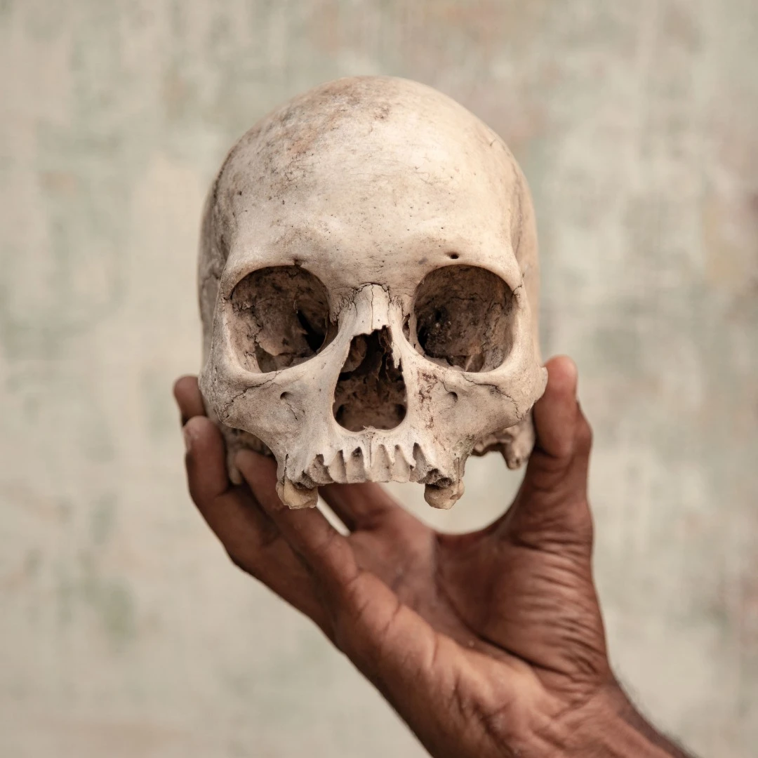 India, Tamil Nadu, May 2018. One of the skulls claimed to be the skull of a farmer who committed suicide, held by Mr Premkumar, a member of the South Indian Farmers Association. This skull was also used during a protest in Delhi in 2017, where farmers demanded a drought relief package and loan waiver for peasants from the state