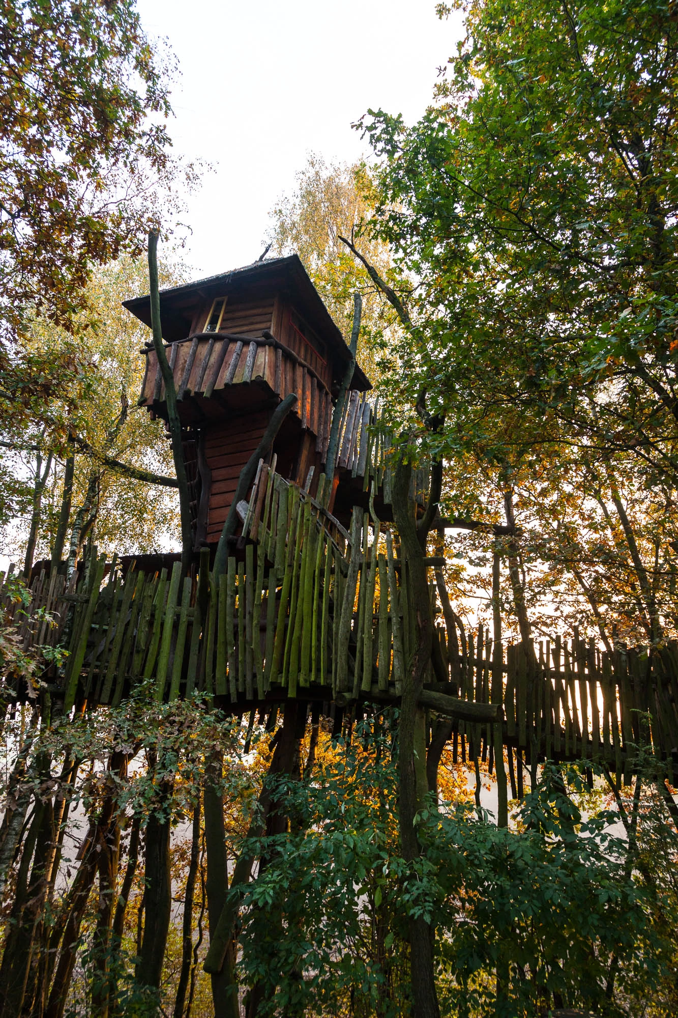 Kulturinsel Einsiedel: the treehouse hotel