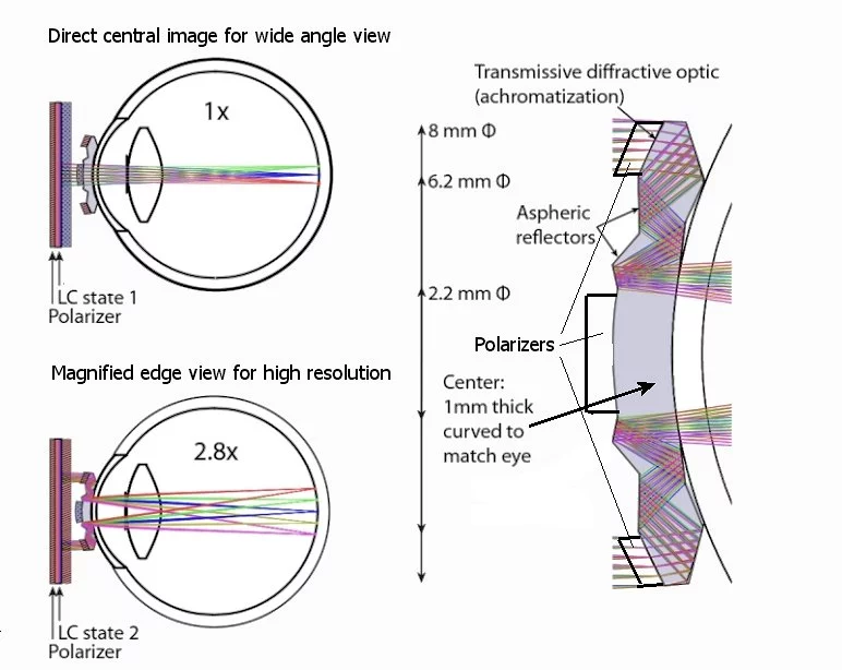 Raytraced cross-section of the UCSD switching magnification contact lens (Photo: Optics Express)