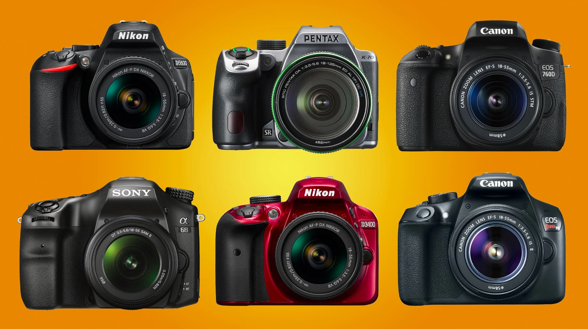 We look at some of the best DSLRs for beginner photographers