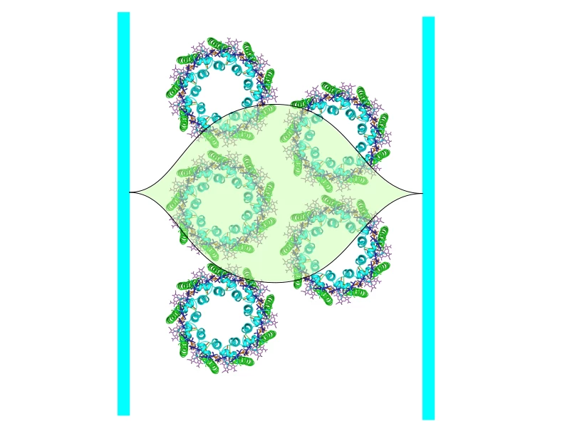 Diagram of the team's experiments involving mirrors and light-harvesting complexes from photosynthetic purple bacteria