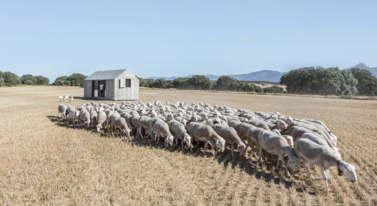 The house is based around three interior spaces, which include a lounge and kitchen space, a bathroom, and a double bedroom