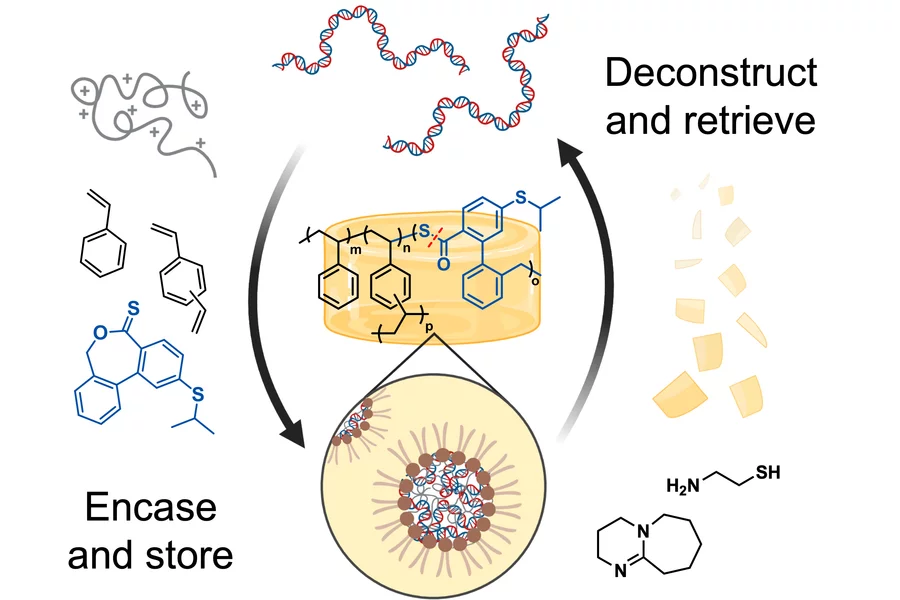 A diagram illustrating how the artificial amber works for DNA data storage