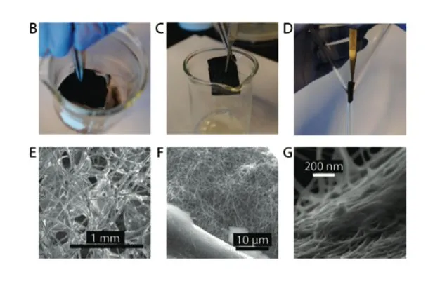 The filter being treated with silver and CNTs (B,C), and SEM images of the cotton, silver nanowires, and CNTs (E,F,G)