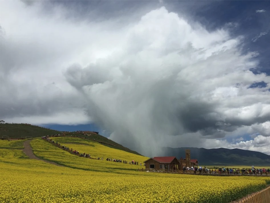 Honorable mention in the nature category of the 2018 iPhone Photography Awards