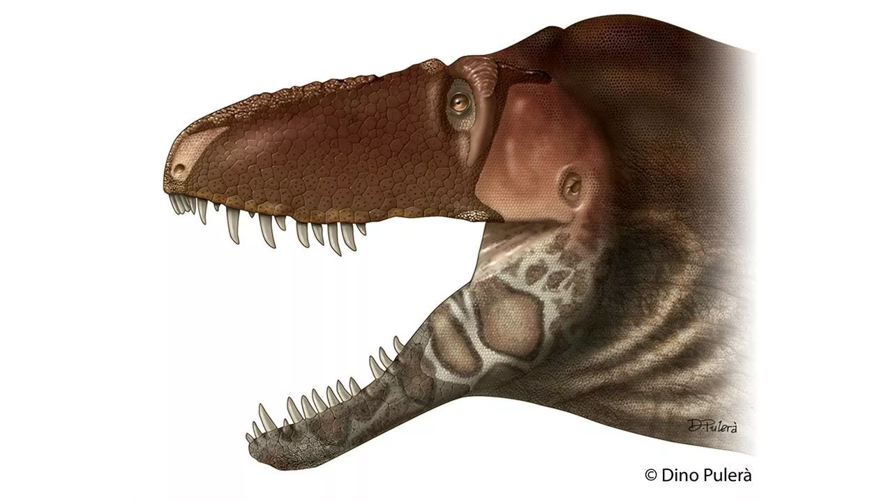 The reconstructed head of a Daspletosaurus horneri, with large flat scales adorning most of its face and bony, armor-like patches on its snout and the sides of its lower jaws