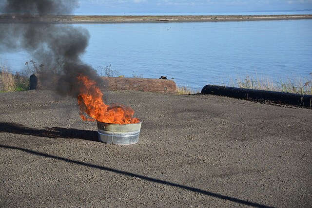 Sprinkling of sawdust could soak up Arctic oil spills