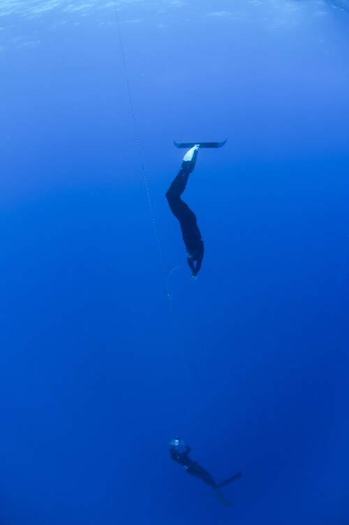 The DOL-Fin Orca is designed for freediving