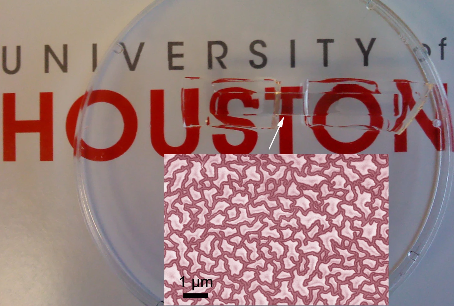 A close view of the nanomesh (inset)